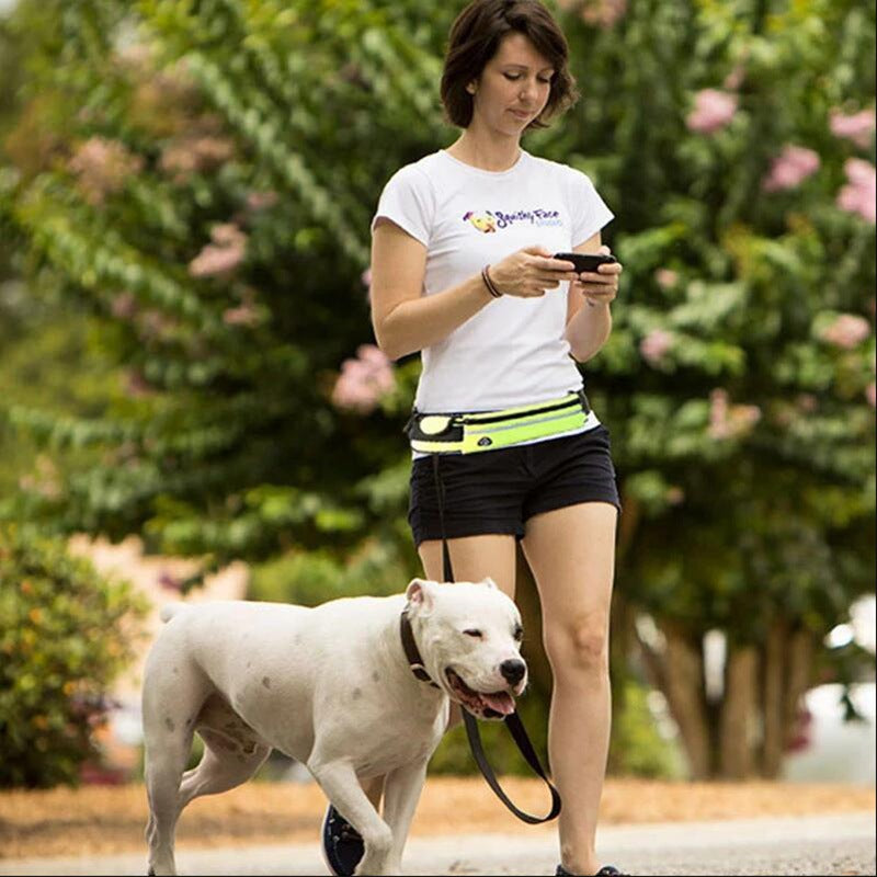 Hands-Free Bungee Dog Leash — Shock-Absorbing Belt for Running & Training
