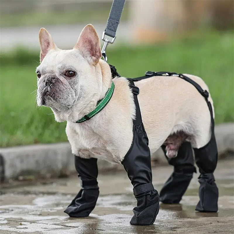 Waterproof Dog Boots — Outdoor Protective Paw Shoes for All Terrain