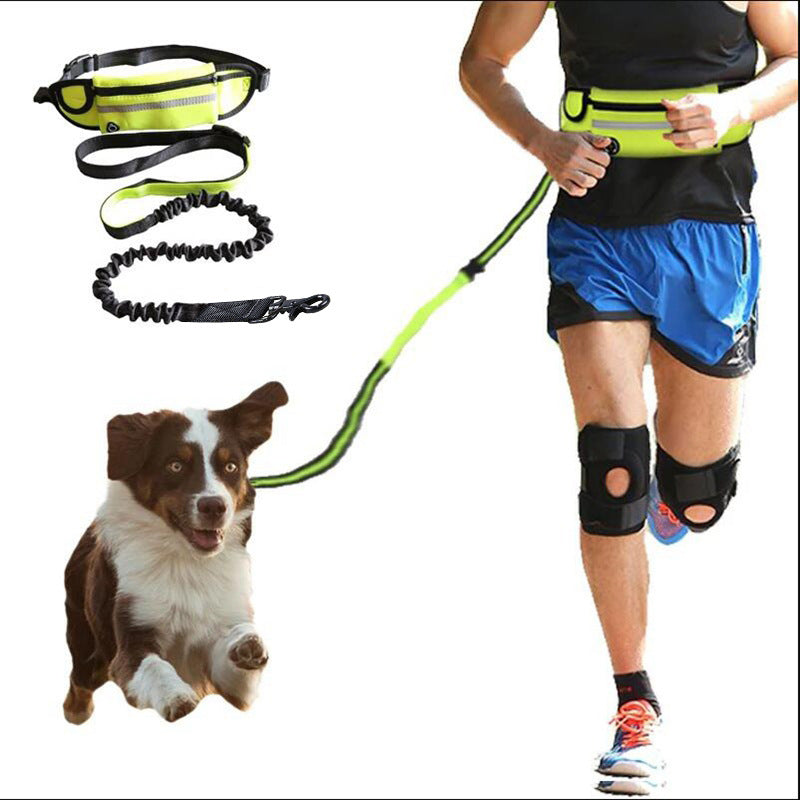 Hands-Free Bungee Dog Leash — Shock-Absorbing Belt for Running & Training