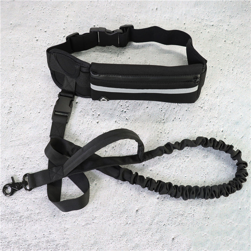 Hands-Free Bungee Dog Leash — Shock-Absorbing Belt for Running & Training